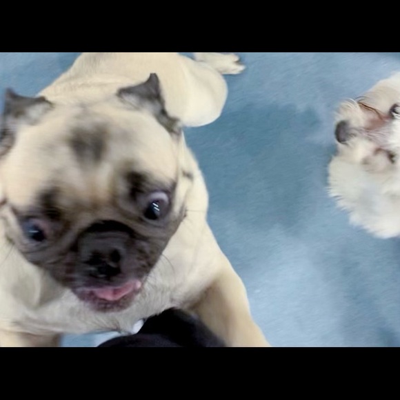 Meet your Posher, Kara - Picture 7 of 16